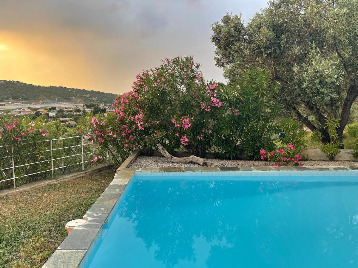 Skiathos Seaview Villa With Pool Punta Exteriör bild